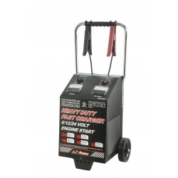 6V/12V/24V Professional Automatic Battery Wheel Charger